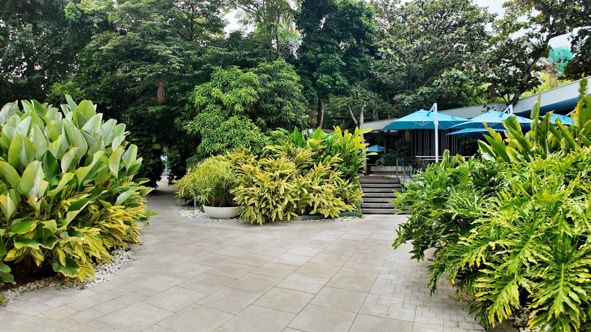 Dominiks Quite And Elegant Studio Ocean View Pool At Tambuli Resort High Floor Lapu-Lapu City Bagian luar foto